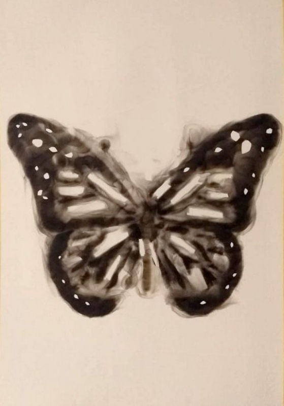 Emmanuel Serrano — Variación de Mariposa