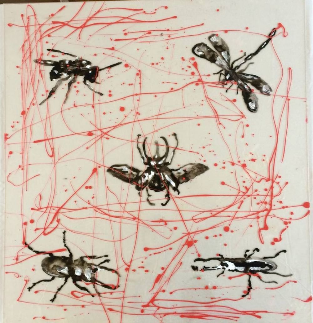 Emmanuel Serrano — Metamorfosis