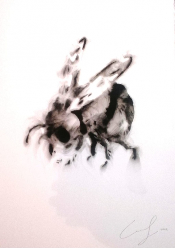 Emmanuel Serrano — Abeja