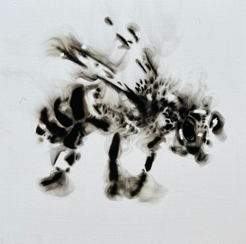Emmanuel Serrano — Movimiento