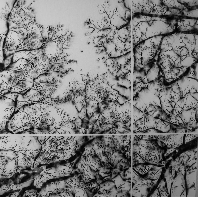 Emmanuel Serrano — Composición 333 De La Serie Ensayo De Transparencia y Humo