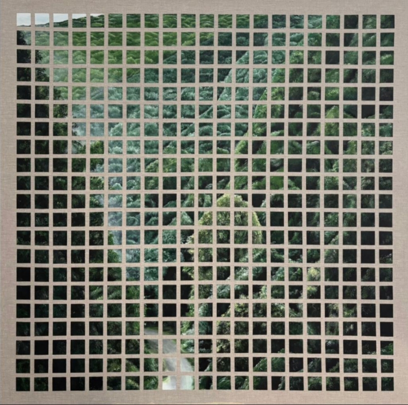 Karla Barrenechea — Memoria Contenida