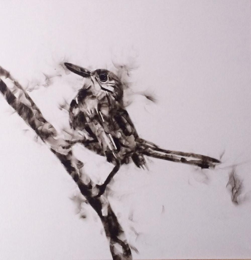 Emmanuel Serrano — De la serie Aves