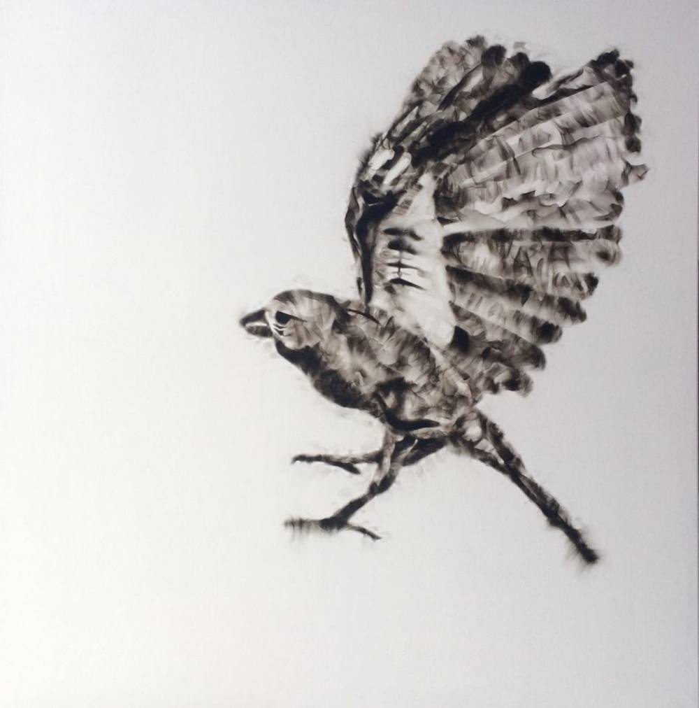 Emmanuel Serrano — De la serie Aves