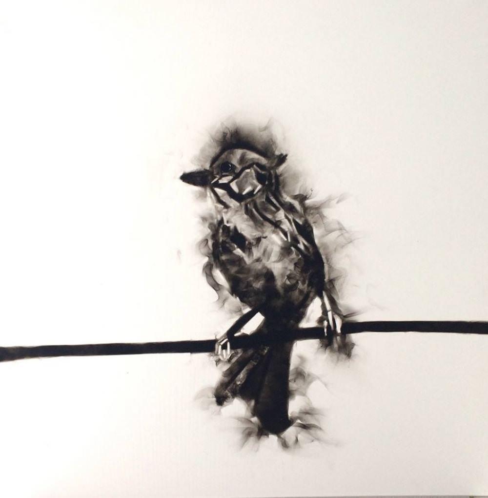 Emmanuel Serrano — De la serie Aves